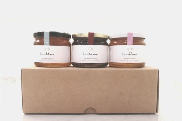 Bundle of 190G  (EUCALYPTUS + OAK + THISTLES)