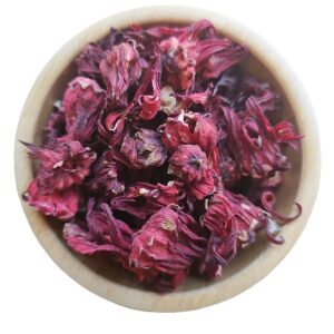 Red Hibiscus