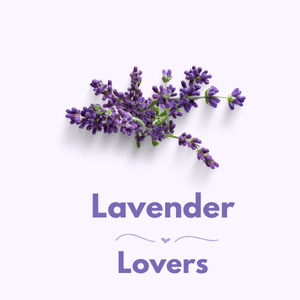 Power of Lavender Bundle
